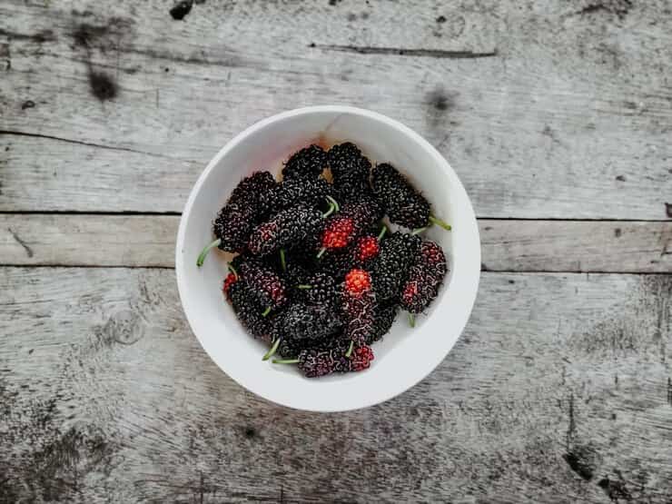 تصویر 2 از قیمت خرید تمشک خشک + فروش ویژه